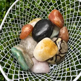 Assorted Palm Stones